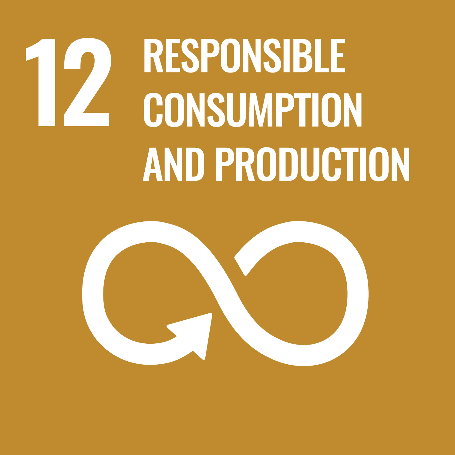 SDG 12&nbsp;- Responsible Consumption and Production